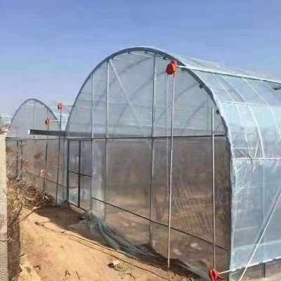 农用育苗花卉冷棚安装简易 薄膜大棚加工春秋冷棚单体插地棚拱棚图4
