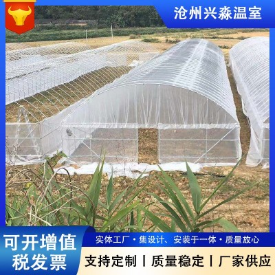 农用育苗花卉冷棚安装简易 薄膜大棚加工春秋冷棚单体插地棚拱棚图5