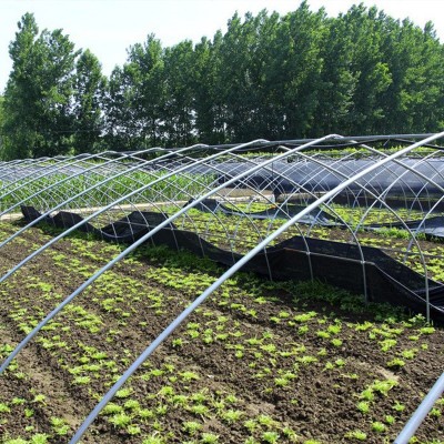 农用育苗花卉冷棚安装简易 薄膜大棚加工春秋冷棚单体插地棚拱棚图2