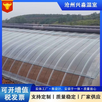 薄膜大棚葡萄草莓种植新型遮阳棚跨境薄膜拱棚温室 花卉温室大棚图4