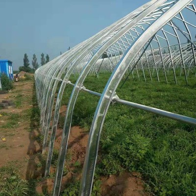 几字钢温室冬季暖棚蔬菜种植棚养殖大棚蔬菜花卉大棚图3