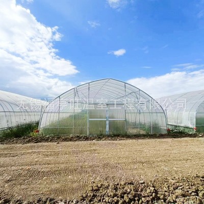 温室简易大棚骨架养殖种植暖棚全套猪鸡舍钢架连栋组装简易蔬菜棚图3