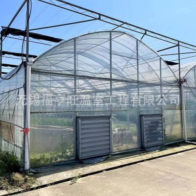 外遮阳连栋连体大棚 农业种植蔬菜瓜果花卉温室大棚 简易连栋大棚图3