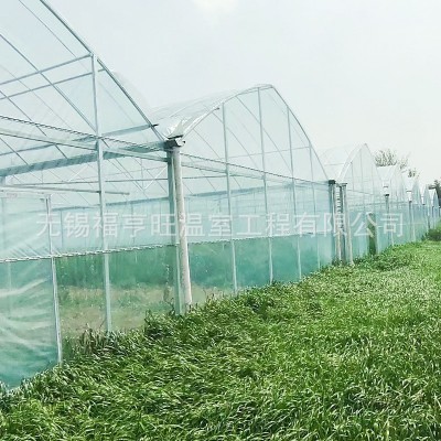 外遮阳连栋连体大棚 农业种植蔬菜瓜果花卉温室大棚 简易连栋大棚图4