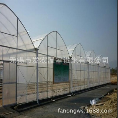 厂家直销蔬菜棚提供安装及加工新型连栋温室大棚