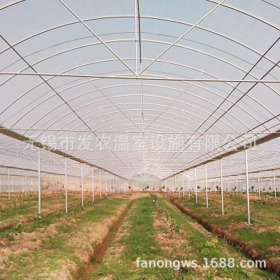 厂家直销温室花卉大棚 葡萄种植高端新型遮阳温室草莓大棚定制图3