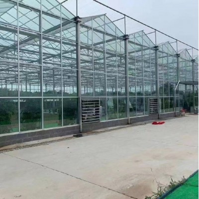 连栋玻璃温室大棚农业花卉种植温室大棚玻璃阳光智能温室大棚图2