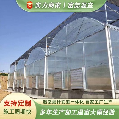 连栋薄膜温室蔬菜大棚养殖花卉大棚连栋薄膜温室保温骨架大棚图3