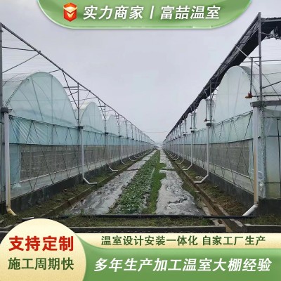 连栋薄膜温室蔬菜大棚养殖花卉大棚连栋薄膜温室保温骨架大棚图4