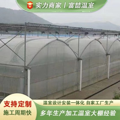 连栋薄膜温室蔬菜大棚养殖花卉大棚连栋薄膜温室保温骨架大棚图5