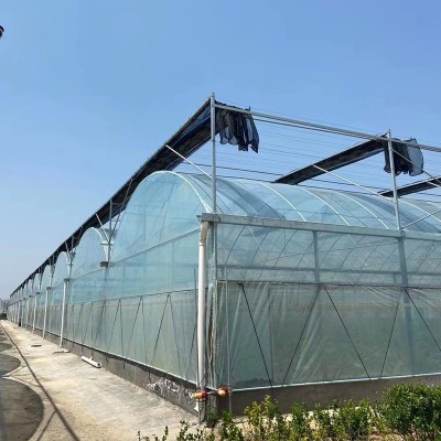 定制连栋薄膜温室大棚蔬菜养殖花卉大棚保温温室防雨防水温室大棚图3