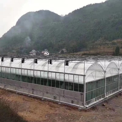 定制连栋薄膜温室大棚蔬菜养殖花卉大棚保温温室防雨防水温室大棚图2