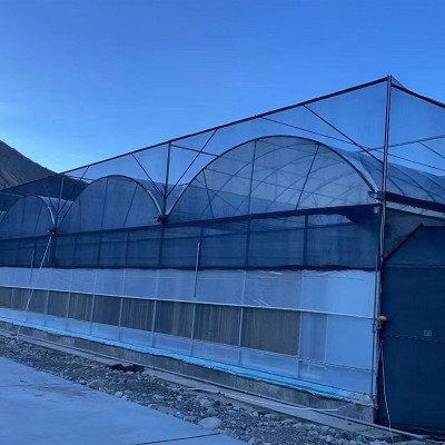 蔬菜养殖花卉大棚连栋薄膜温室保温温室防雨防水温室大棚图3