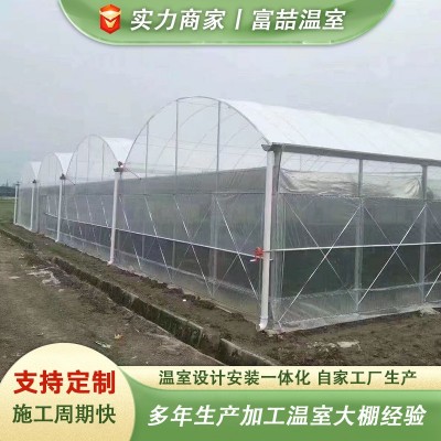 蔬菜养殖花卉大棚连栋薄膜温室保温温室防雨防水温室大棚图5