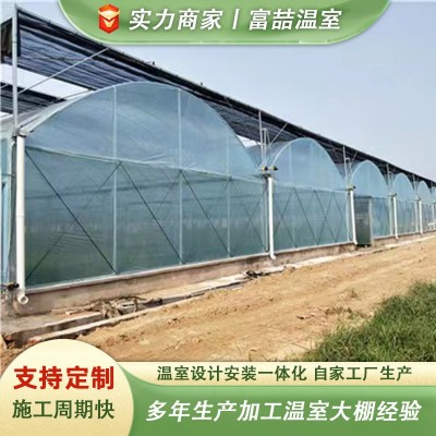 蔬菜养殖花卉大棚连栋薄膜温室保温温室防雨防水温室大棚图4