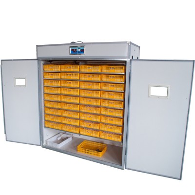 批发全自动家用智能孵化机新型小鸡孵化器大型恒温孵蛋器incubato图5