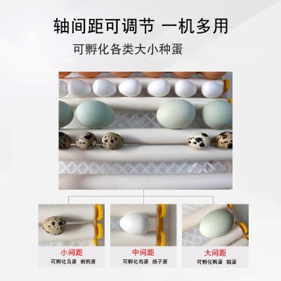 家用孵化器小鸡孵蛋器小型家用孵化机全自动智能鸡鸭鹅鸽孵蛋机图3