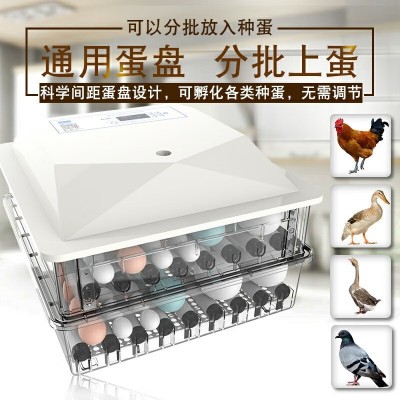 孵化器小型家用智能全自动家用孵蛋器鸡鸭鸽鹌鹑孵化机图3
