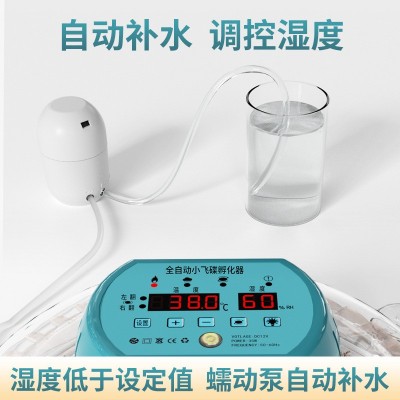 新伟达孵化机小型家用孵化器全自动智能鸡鸭鹅鸽孵蛋机鹦鹉孵蛋器