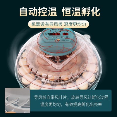 新伟达孵化机小型家用孵化器全自动智能鸡鸭鹅鸽孵蛋机鹦鹉孵蛋器图3