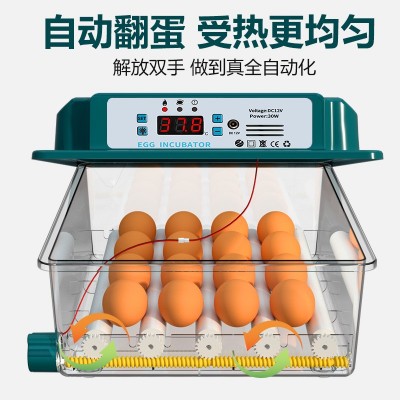 【厂家直供】家用孵化器鸡鸭鹅鸽子蛋孵化箱全自动家用小型孵化机图4