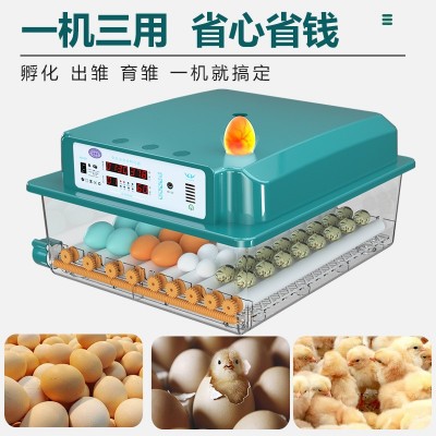 【厂家直供】家用孵化器鸡鸭鹅鸽子蛋孵化箱全自动家用小型孵化机图2