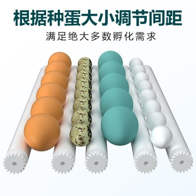 【厂家直供】家用孵化器鸡鸭鹅鸽子蛋孵化箱全自动家用小型孵化机图3