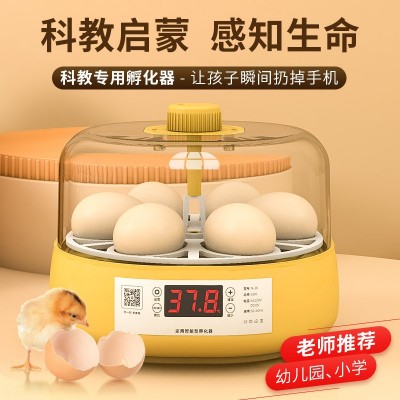 孵蛋器1枚小鸡孵化器小型家用型儿童孵化机鹦鹉迷你全自动孵化箱图2