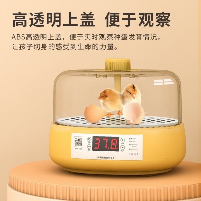 孵蛋器1枚小鸡孵化器小型家用型儿童孵化机鹦鹉迷你全自动孵化箱图3