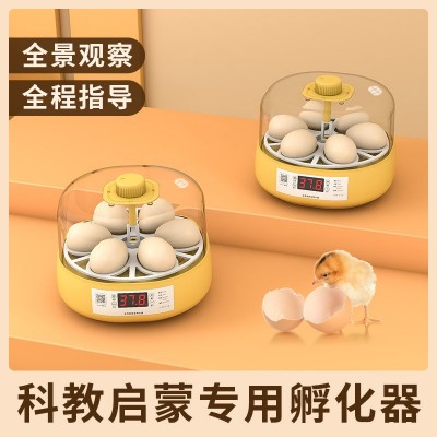孵蛋器1枚小鸡孵化器小型家用型儿童孵化机鹦鹉迷你全自动孵化箱图4