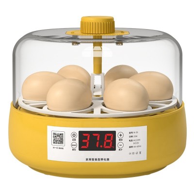 孵蛋器1枚小鸡孵化器小型家用型儿童孵化机鹦鹉迷你全自动孵化箱图5