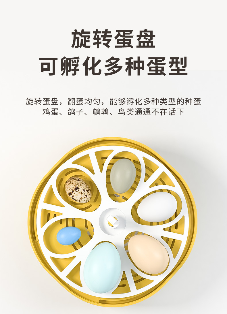 详情_06.jpg
