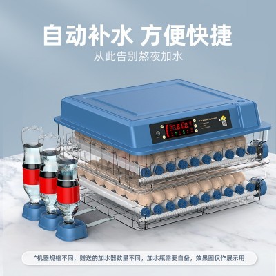 源头厂家孵蛋器小鸡芦丁鸡孵化器小型机器家用全自动智能孵化机图2