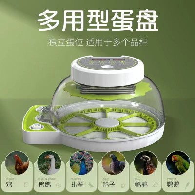 跨境厂家孵化机孵蛋器全自动智能小孵化器小型家用孵化鹦鹉孵图3