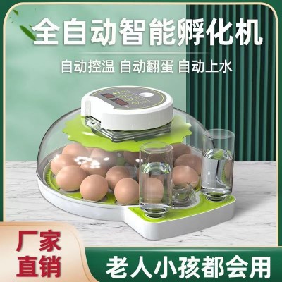 跨境厂家孵化机孵蛋器全自动智能小孵化器小型家用孵化鹦鹉孵图4