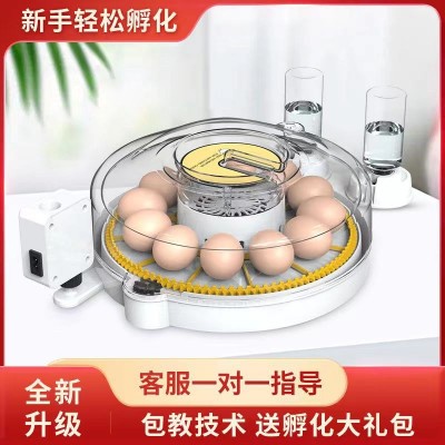 跨境厂家孵化机孵蛋器全自动智能小孵化器小型家用孵化鹦鹉孵图2