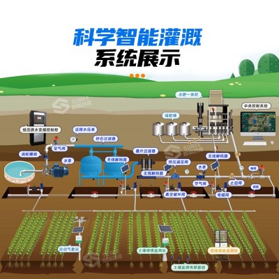 定制智能水肥一体机 手动自动控制滴灌施肥设备 水肥机农业灌溉图3