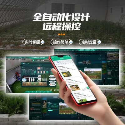 定制智能水肥一体机 手动自动控制滴灌施肥设备 水肥机农业灌溉图2
