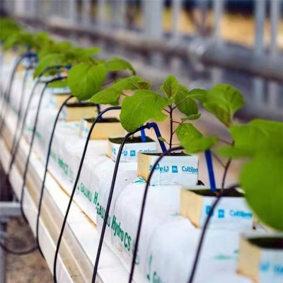 滴箭自动浇花一出二一出四盆栽滴灌园艺果园果树浇花神器滴剑灌溉图4