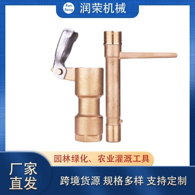 全铜取水阀园林绿化取水栓草坪灌溉小区洗车DN20地埋式快速取水器图2