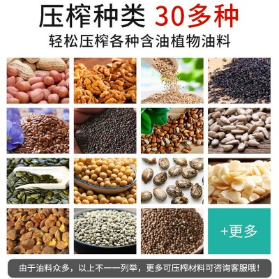 房太太带炒料家用榨油机不锈钢高档智能全自动小型炸油机图3