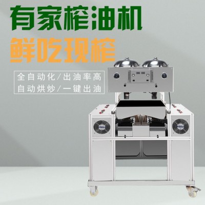有家新型炸油机炒炸油坊商用炸油机油坊商用花生炸油机全自动图2