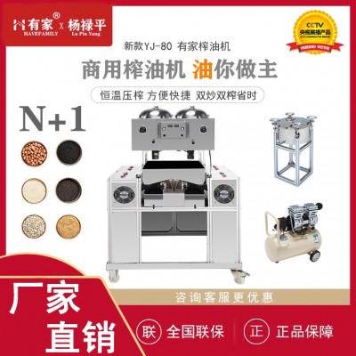 有家新型炸油机炒炸油坊商用炸油机油坊商用花生炸油机全自动