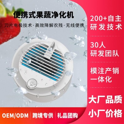 无线便携果蔬清洗机家用洗菜机消毒食材净化器洗肉杀菌去农药机器