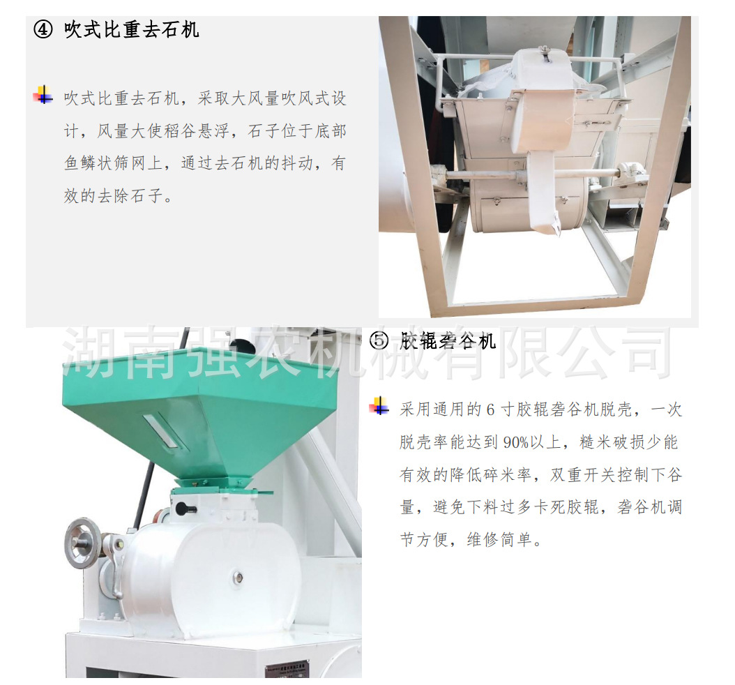 6LN-15-8_06.jpg