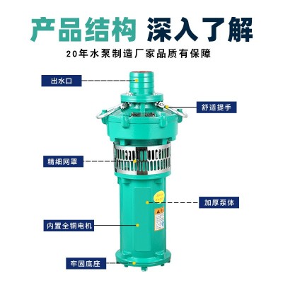 QY大流量油浸泵农用灌溉高扬程离心式水泵喷泉充油式多级潜水泵图3
