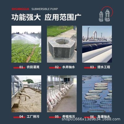 定制QDX全不锈钢潜水泵220V/380V农用灌溉清水泵高扬程小型抽水泵图3