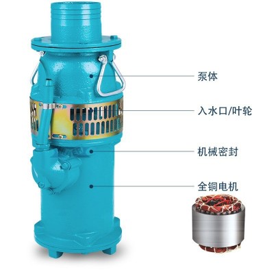 QY潜水泵抽水机浇地浇菜神器35米50米扬程水泵灌溉农用油浸泵图5