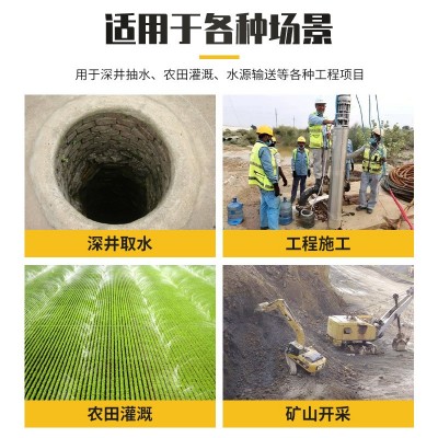 南力6SP 8SP深井取水潜水泵 全304不锈钢深井泵农用灌溉防爆清水图4