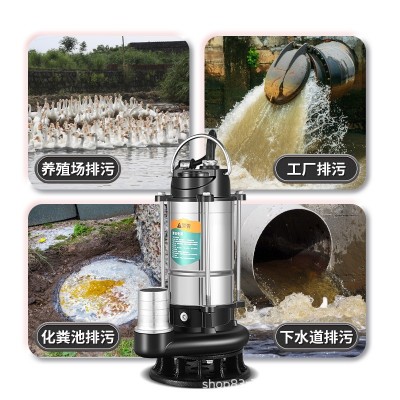 潜水泵220v家用小型不锈钢水泵高扬程大流量农用灌溉自 动抽水泵图5